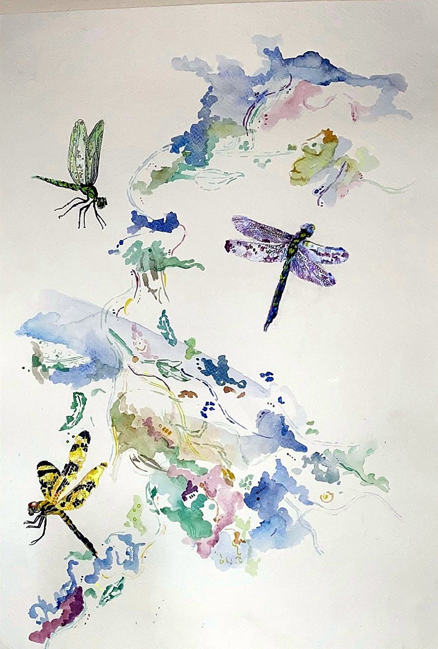 Three dragonflies over loose watercolour washes
